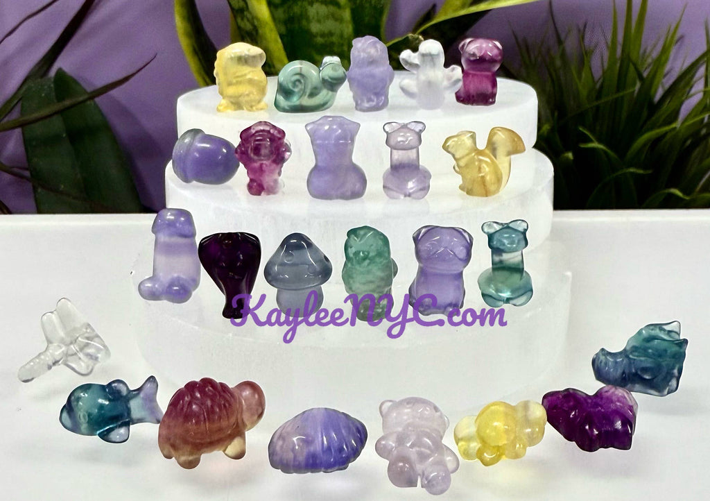 Mix Mini Candy Fluorite Carvings Crystal Healing