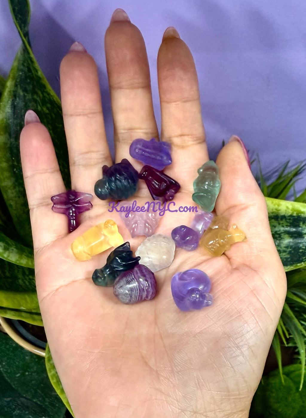 Mix Mini Candy Fluorite Carvings Crystal Healing